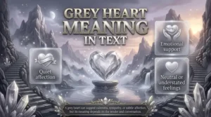 Grey Heart Meaning in Text
